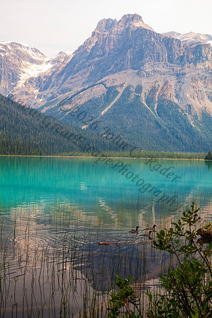 Emerald Lake in Yoho Natonal Park — fine art photograph titled Diamond and Emeralds