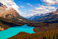 Peyto Lake — fine art photograph titled Peyto Perfection