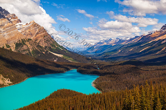 Peyto Lake — fine art photograph titled Peyto Perfection