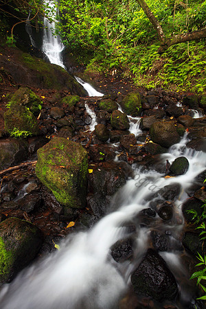 Likeke Waterfall with ferns on Oahu Hawaii