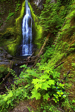 Marymere Falls waterfall Olympic National Park Washington State