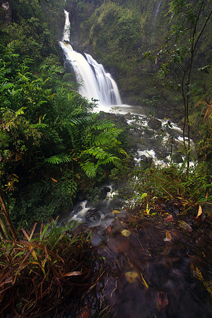 Waikani Falls with kalo taro triple waterfall Road to Hana Maui Hawaii