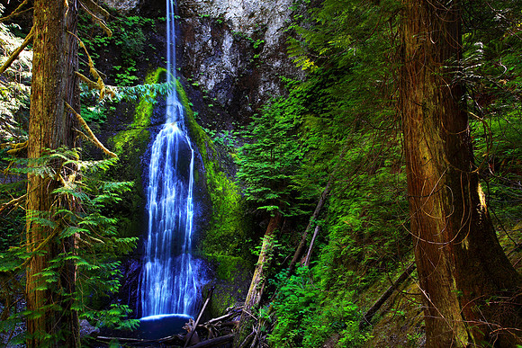 Marymere Falls waterfall Olympic National Park Washington State