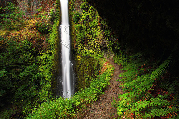 Tunnel Falls, located in Eagle Creek, Columbia River Gorge, Oregon