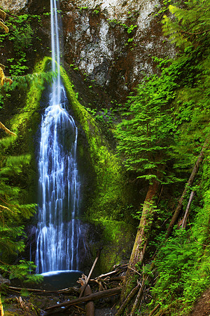 Marymere Falls waterfall Olympic National Park Washington State