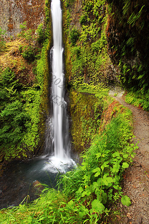 Tunnel Falls, located in Eagle Creek, Columbia River Gorge, Oregon