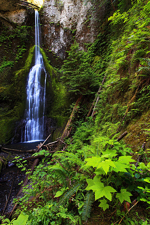 Marymere Falls waterfall Olympic National Park Washington State