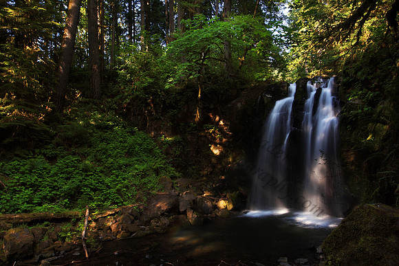 Majestic Falls  waterfall McDowell Creek State Park Oregon