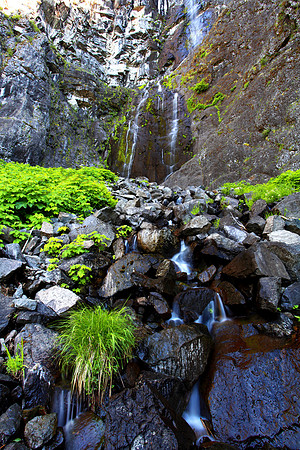 Snoquera Falls Mount Ranier NP Washington