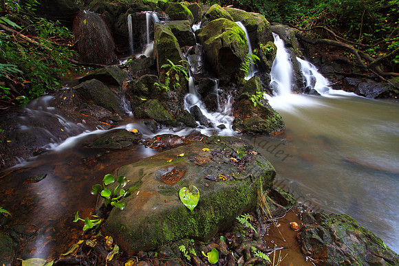 Small waterfall Nuuanu Jackass Ginger Judd Trail Oahu Hawaii