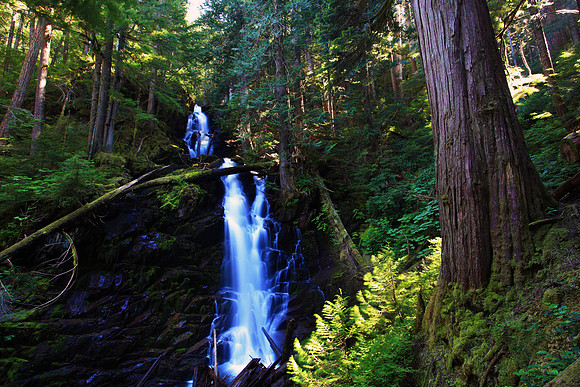 Ranger Falls, located in Carbon River of Mount Ranier National Park