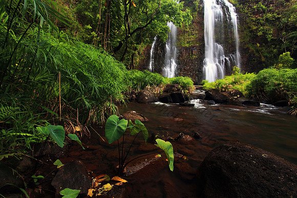 Opaekaa Waterfall on Kauai Hawaii