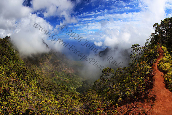 Kalalau Valley seen from Pihea trail Kokee State Park Kauai Hawaii