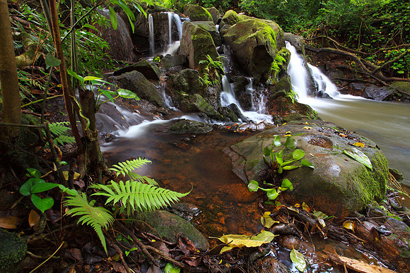 Small waterfall Nuuanu Jackass Ginger Judd Trail Oahu Hawaii