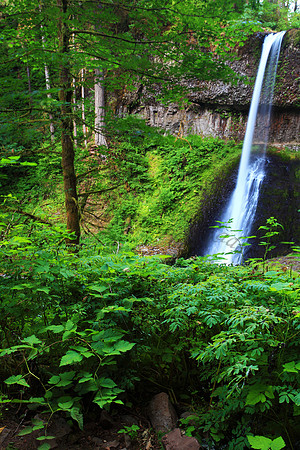 Middle North Falls, located in Silver Springs State Park, Oregon