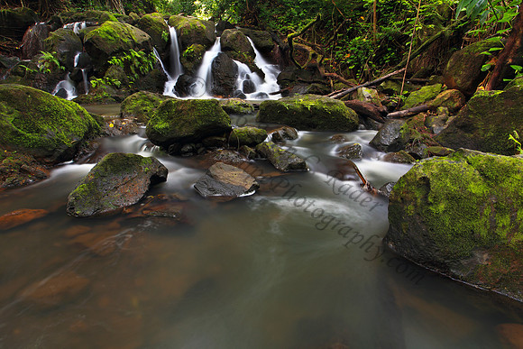 Small waterfall Nuuanu Jackass Ginger Judd Trail Oahu Hawaii