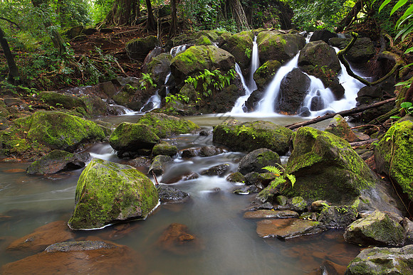 Small waterfall Nuuanu Jackass Ginger Judd Trail Oahu Hawaii