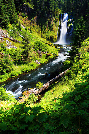 Lemolo Falls in Umpqua National Forest Oregon waterfall