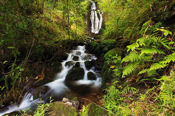Waihee Waterfall on Oahu Hawaii