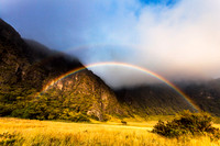 Palikū — fine art photograph titled Uncommon But Appreciated