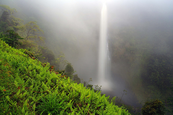 "Mystical Akaka #3"