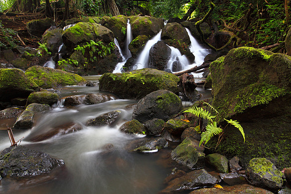 Small waterfall Nuuanu Jackass Ginger Judd Trail Oahu Hawaii