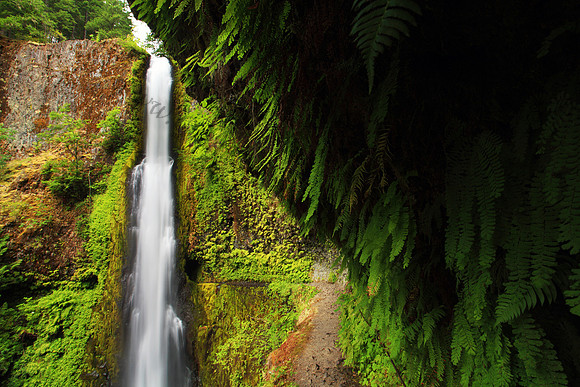 Tunnel Falls, located in Eagle Creek, Columbia River Gorge, Oregon