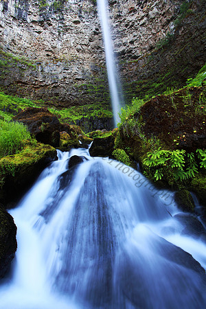 Watson Falls, Umpqua National Forest, Oregon, waterfall