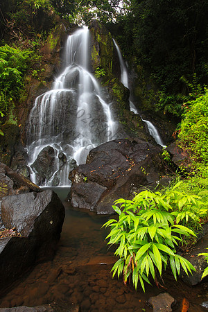 Secret waterfall in Nuuanu on Oahu Hawaii