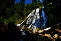 Diamond Creek Falls in Willamette National Forest, Oregon