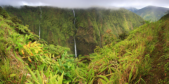 Waipio Valley Kohala Mountains Waterfalls Big Island Hawaii
