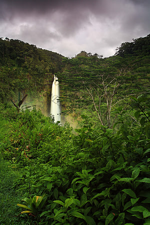 Magnificent Akaka waterfall in Honomu Hawaii Big Island