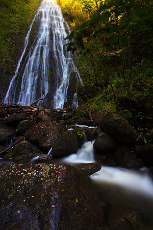 Waterfall, Luaalaea Falls, Manoa Valley, Oahu, Honolulu, Hawaii