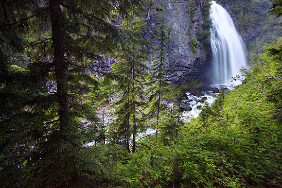 Narada Falls, Mount Ranier National Park
