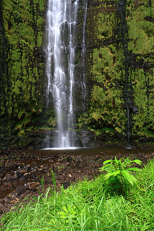 Waimoku Falls, Kipahulu National Park Hana Maui Hawaii