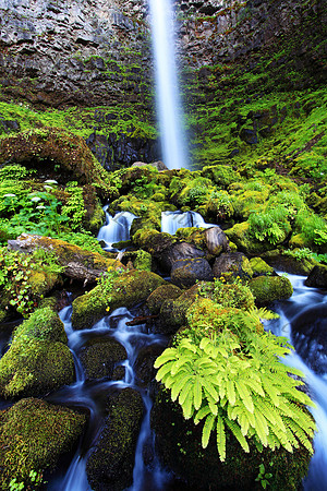 Watson Falls, Umpqua National Forest, Oregon, waterfall