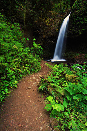 Latourell Falls in the Columbia River Gorge, Oregon