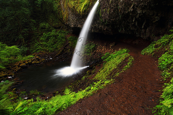 Ponytail Falls located in Columbia River Gorge, Oregon, waterfall