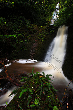 Waterfall, Luaalaea Falls, Manoa Valley, Oahu, Honolulu, Hawaii
