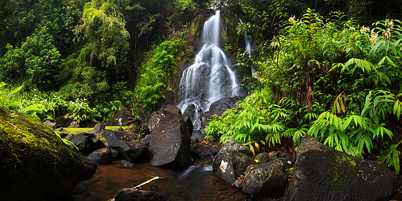 Secret waterfall in Nuuanu on Oahu Hawaii
