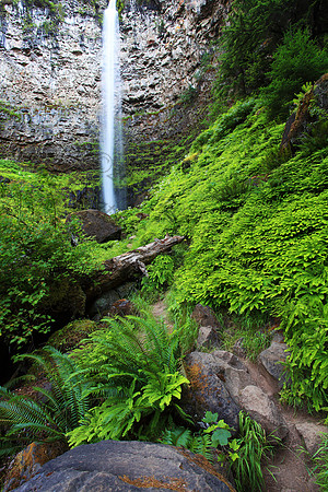 Watson Falls, Umpqua National Forest, Oregon, waterfall