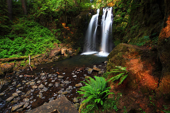 Majestic Falls  waterfall McDowell Creek State Park Oregon