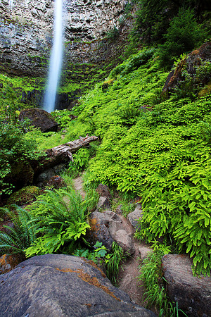 Watson Falls, Umpqua National Forest, Oregon, waterfall