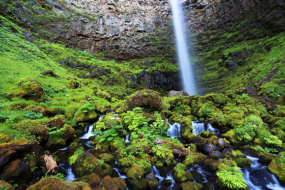 Watson Falls, Umpqua National Forest, Oregon, waterfall