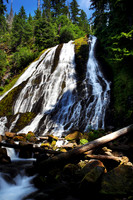 Diamond Creek Falls in Willamette National Forest, Oregon