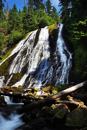 Diamond Creek Falls in Willamette National Forest, Oregon