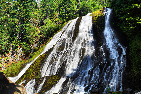 Diamond Creek Falls in Willamette National Forest, Oregon