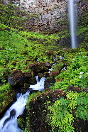 Watson Falls, Umpqua National Forest, Oregon, waterfall