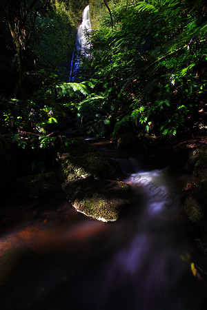 Waterfall, Luaalaea Falls, Manoa Valley, Oahu, Honolulu, Hawaii