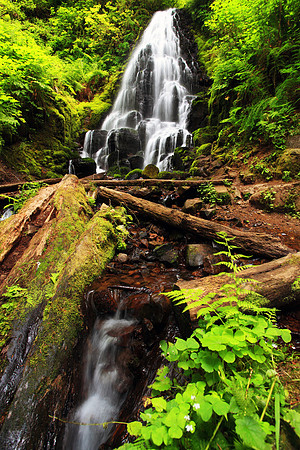 Fairy Falls located upstream from Wahkeena Falls  in the Columbia River Gorge, Oregon